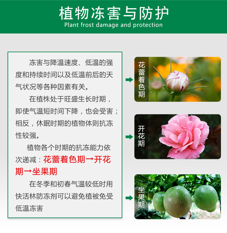 植物凍害與防護