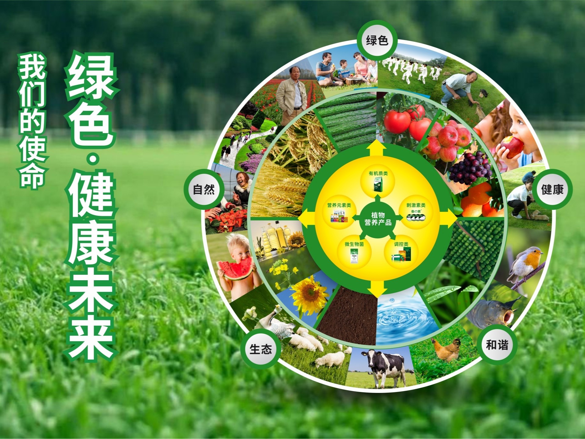 【產品之道】走植物營養精品之路