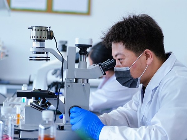 微生物研發-5