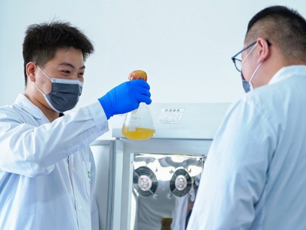 微生物研發-3
