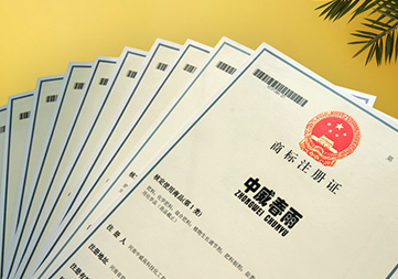 百余項證件專利商標等知識產權保護